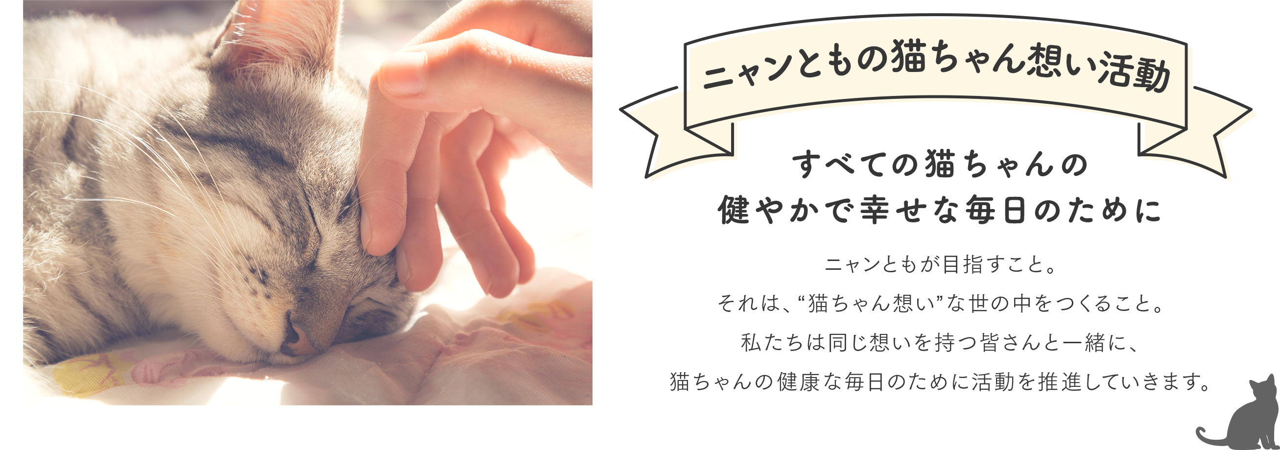 ニャンともの猫ちゃん想い活動 すべての猫ちゃんの健康で幸せな毎日のために ニャンともが目指すこと。それは、“猫ちゃん想い”な世の中をつくること。私たちは同じ想いを持つ皆さんと一緒に、猫ちゃんの健康な毎日のために活動を推進していきます。