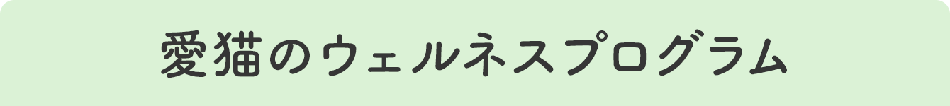 愛猫のウェルネスプログラム