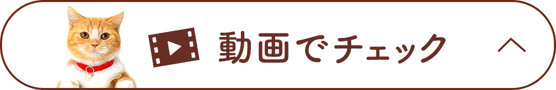 動画でチェック