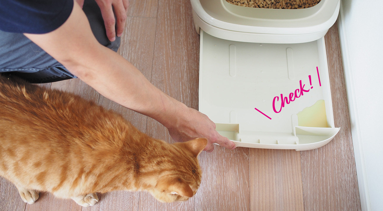 ニャンとも清潔トイレでおしっこチェックをしている様子