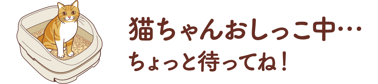猫ちゃんおしっこ中…ちょっと待ってね!