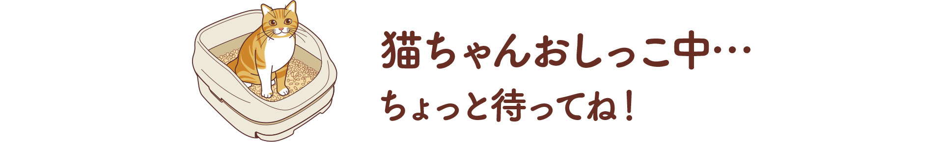猫ちゃんおしっこ中…ちょっと待ってね!