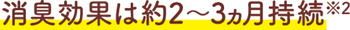 消臭効果は約2〜3ヶ月持続※2