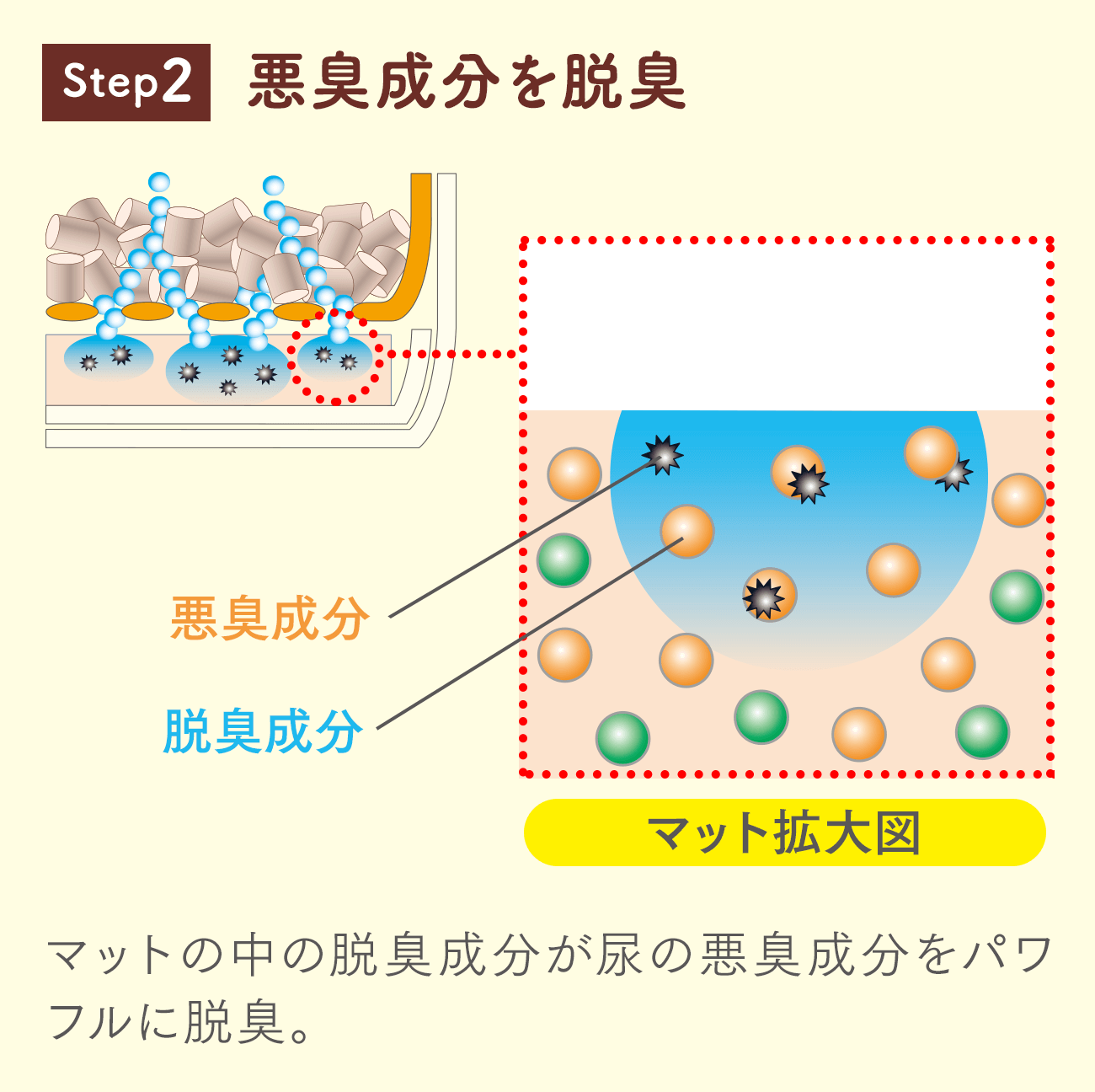 Step2 マットの中の脱臭成分が尿の悪臭成分をパワフルに脱臭。