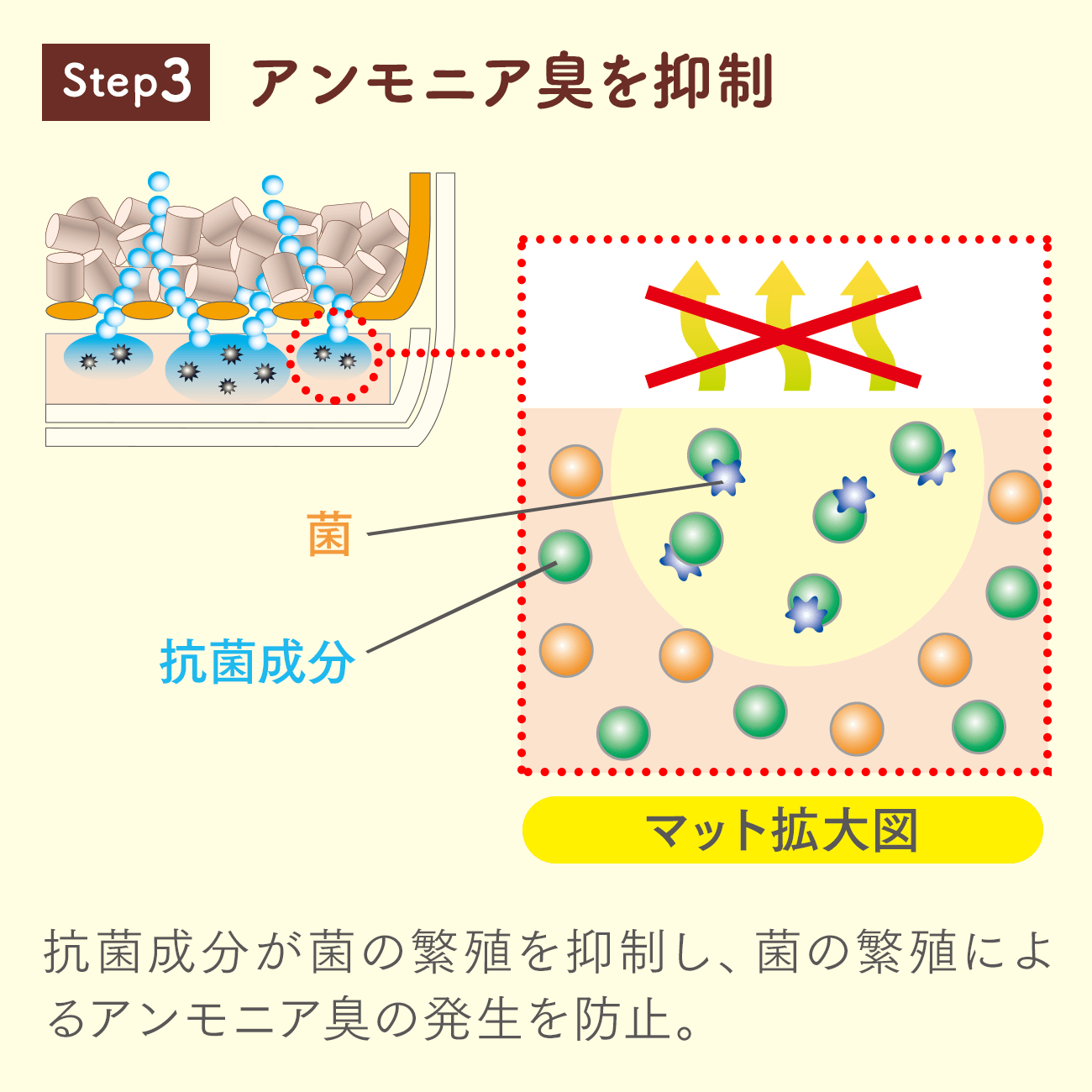 Step3 抗菌成分が菌の繁殖を抑制し、菌の繁殖によるアンモニア臭の発生を防止。