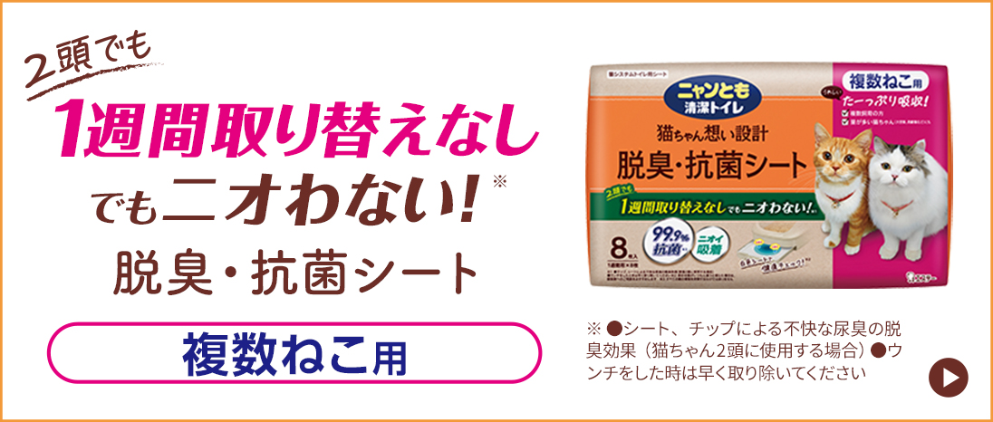 2頭でも1週間取り替えなしでもニオわない！※ 脱臭・抗菌シート 複数ねこ用