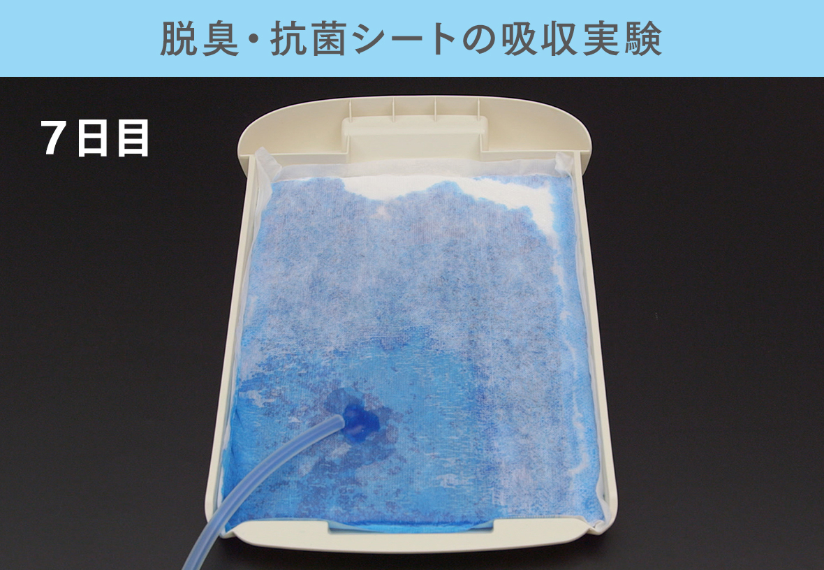 脱臭・抗菌シートの吸収実験(7日目)の様子