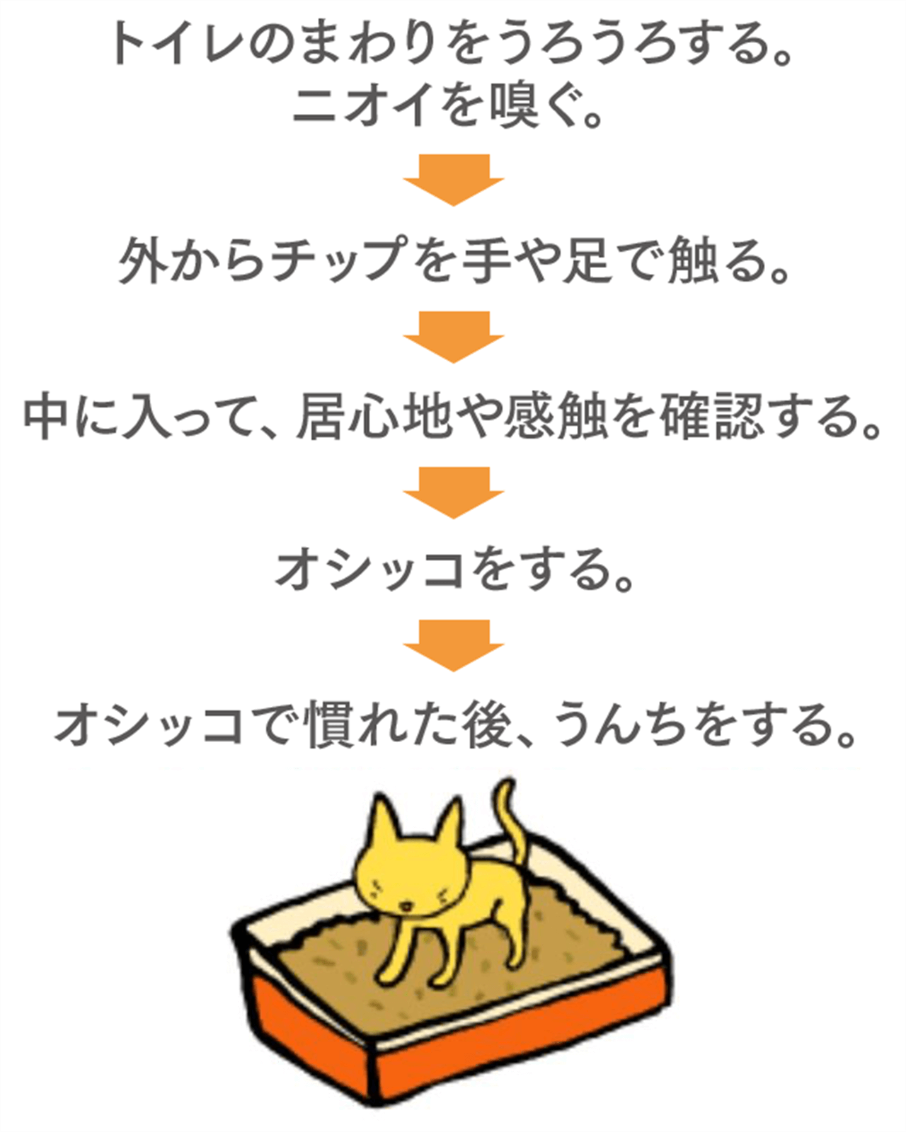トイレのまわりをうろうろする。ニオイを嗅ぐ。→外からチップを手や足で触る。→中に入って居心地や感触を確認する。→オシッコをする。→オシッコで慣れた後、ウンチをする。