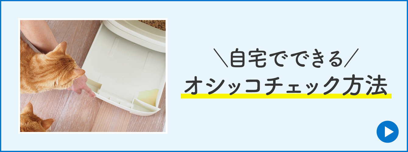 自宅でできる オシッコチェック方法