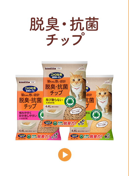 脱臭・抗菌チップ