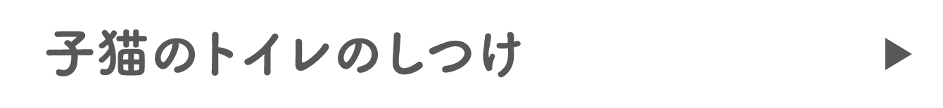 子猫のトイレのしつけ