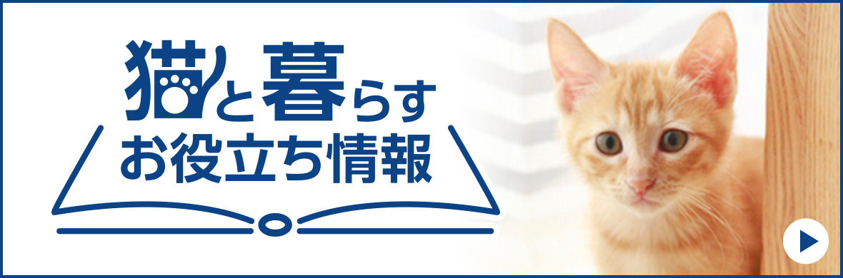 猫と暮らすお役立ち情報