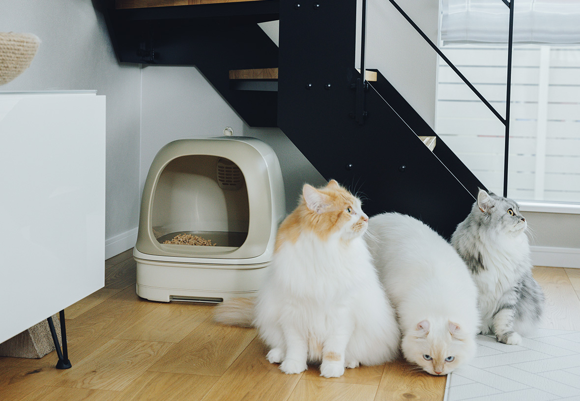 Amazon | ニャンとも清潔トイレ 猫 トイレ 本体セット [約1か月