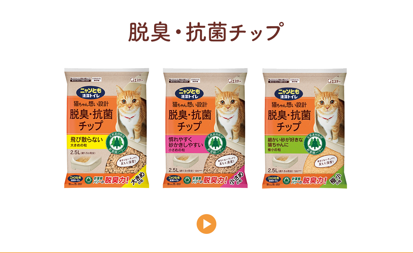 脱臭・抗菌チップ