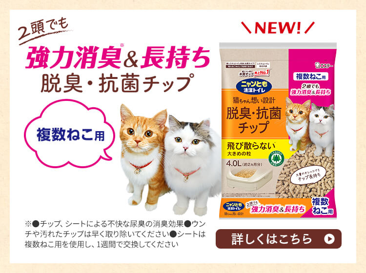 2頭でも強力消臭＆長持ち 脱臭・抗菌チップ 複数ねこ用